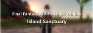 Final Fantasy XIV Patch 6.4 Guides of Island Sanctuary