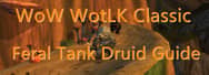 The Definitive Guide to Feral Tank Druid in WoW WotLK Classic