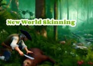 New World Skinning Guide 2024
