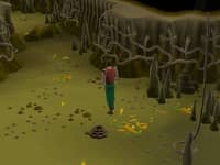 A Porcine of Interest - OSRS Quest