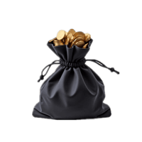 Minitype Gold Coin Bag (200 Gold) - Dark and Darker Items