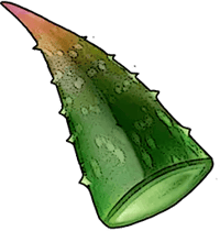 Aloe Leaf *100 - Windrose Items