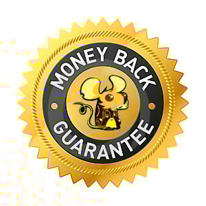 Refund Policy of MmoGah.com