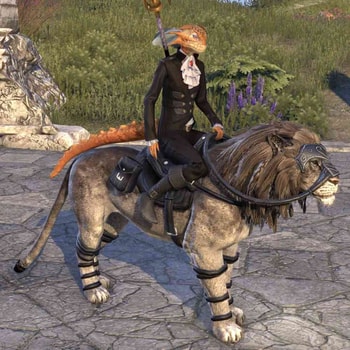 Noble Riverhold Senche-Lion