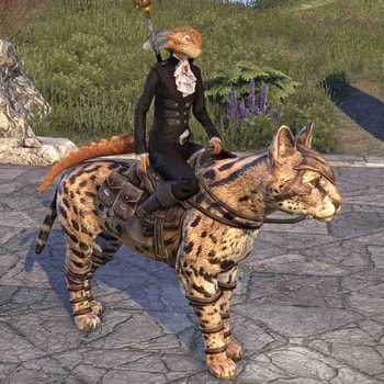  Sapiarchic Senche-Serval