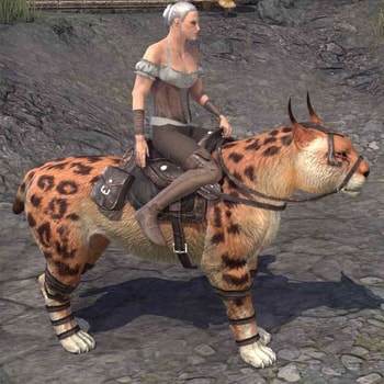 Highland Spotted Lynx