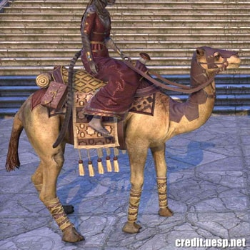 Hammerfell Camel