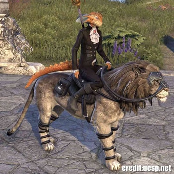 Noble Riverhold Senche-Lion