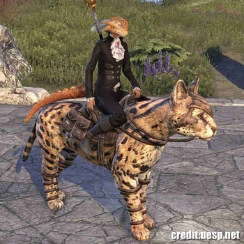 Sapiarchic Senche-Serval