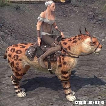 Highland Spotted Lynx