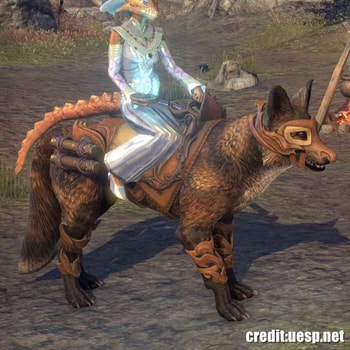 Ja&rsquo;zennji Siir Fox