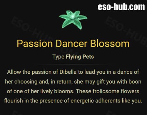 Passion Dancer Blossom Pet