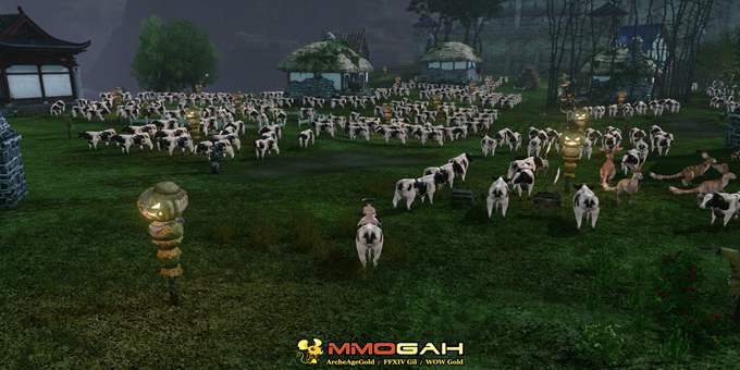 cows