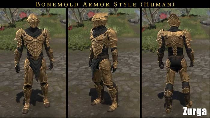Bonemold Armor Style