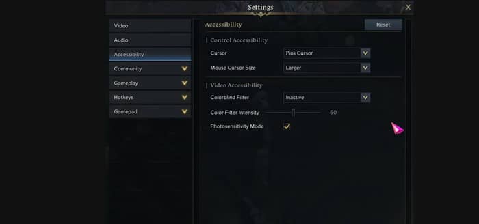 Lost Ark Accessibility Setting