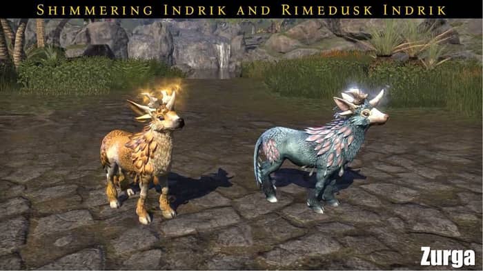Shimmering Indrik pet and Rimedusk Indrik pet