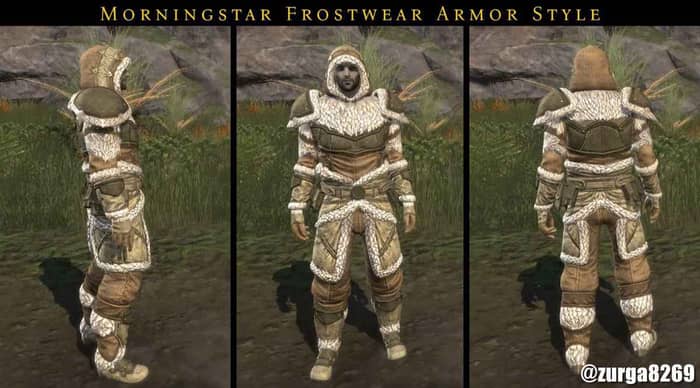 Morningstar Frostwear armor style