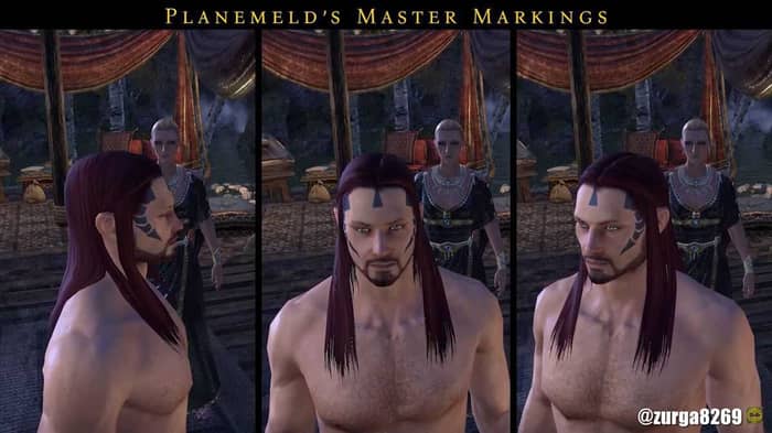 The Planemeld's Master marking