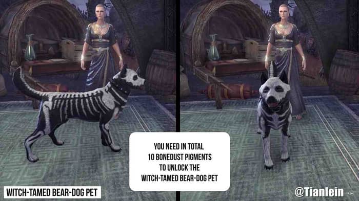 ESO witch tamed bear dog pet
