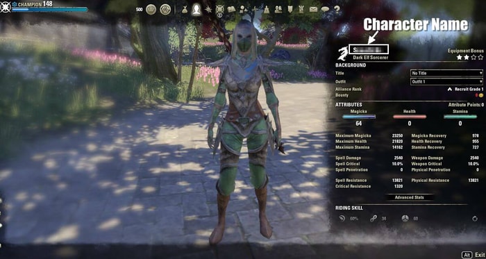 buscar el nombre del personaje en la pantalla del personaje