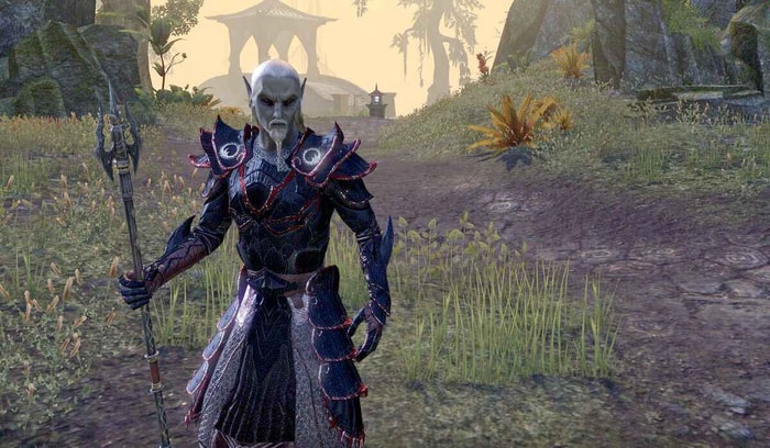 Dunmer (also known as Dark Elf)