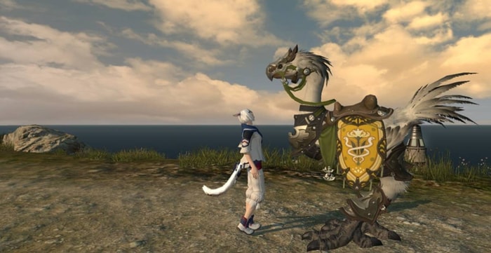 FFXIV Chocobo Companion