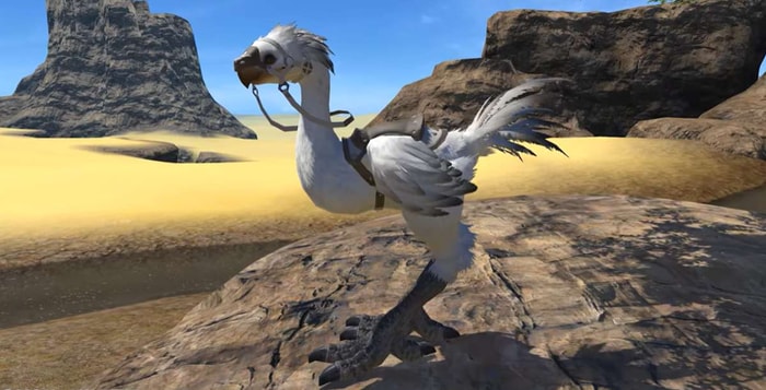 FFXIV Chocobo Mount