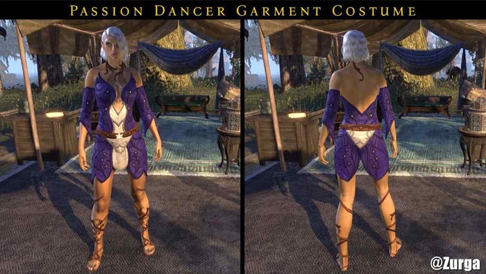 Passion Dancer Garment Costume