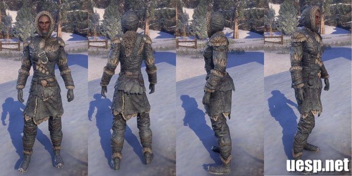 Skaal-Explorer-Outfit-ESO