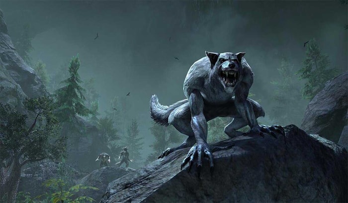 The Ultimate Guide to ESO Werewolf