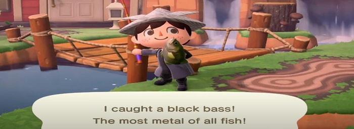 Animal Crossing New Bugs Fish