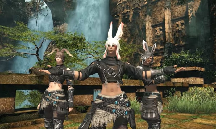 Male Viera