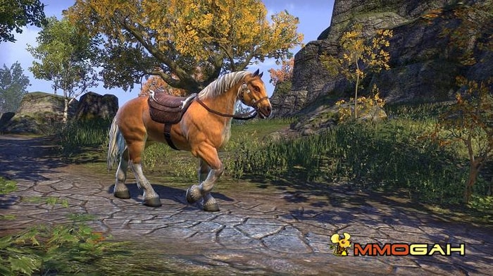 ESO gold edition