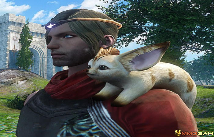 Combat Styles Comparison in ROI