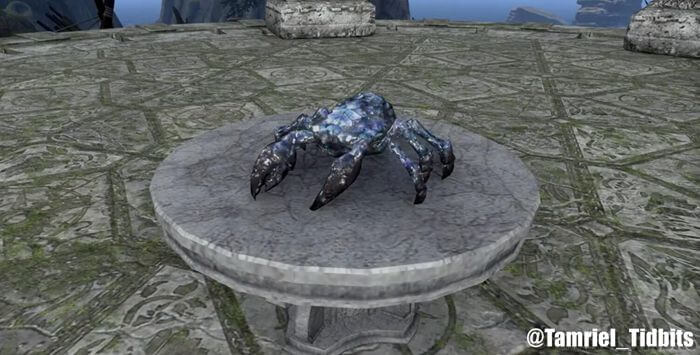 the Mirrormoor Mudcrab pet