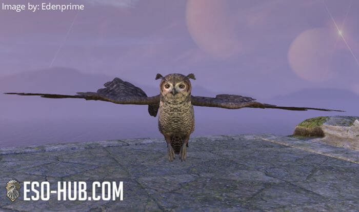 Senchal Horned Owl Pet