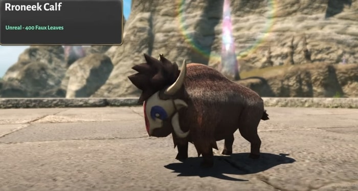 Rroneek Calf
