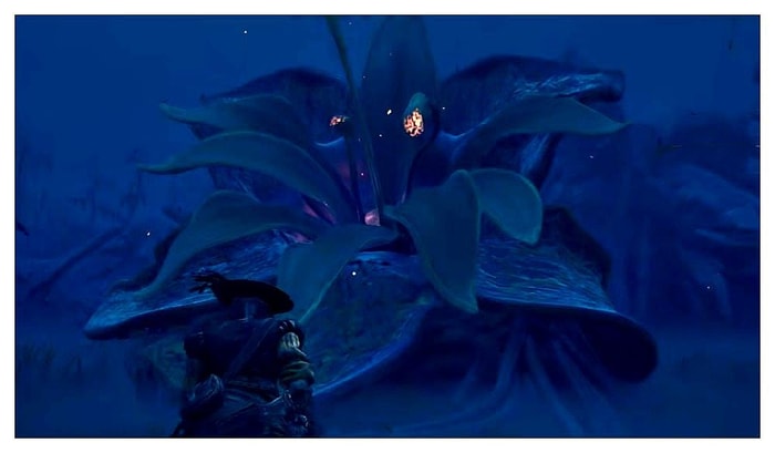 Charon&rsquo;s Obols Weak Point 