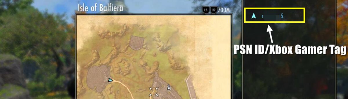 find psnid and xbox gamer tag in map of ESO